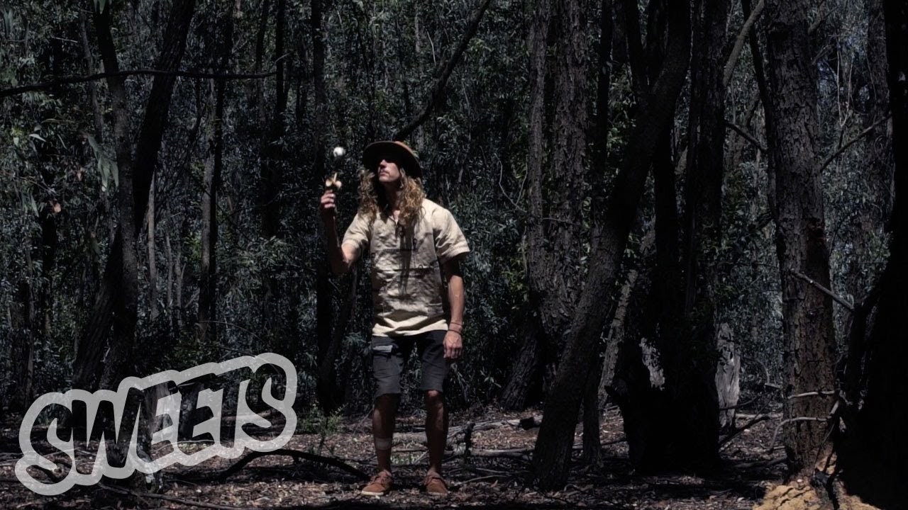 REED STARK - SAFARI KENDAMA EDIT