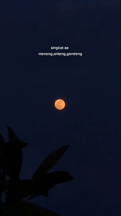 Literasi story whatsapp jawa     1subscribe =1 kebaikan😳