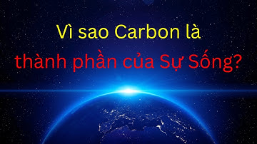 Vì sao Carbon là thành phần của Sự Sống? | Tri thức nhân loại