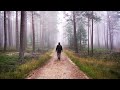 FOGGY Woodland Photography in Denmark | Tales from the Forest - Episode 2