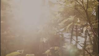 Ruqyah by Dr  Mala Ali Kurdistani   اسمع والله يشفيك