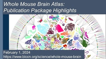 Whole Mouse Brain Atlas Publication Package Highlights (Feb 1, 2024)