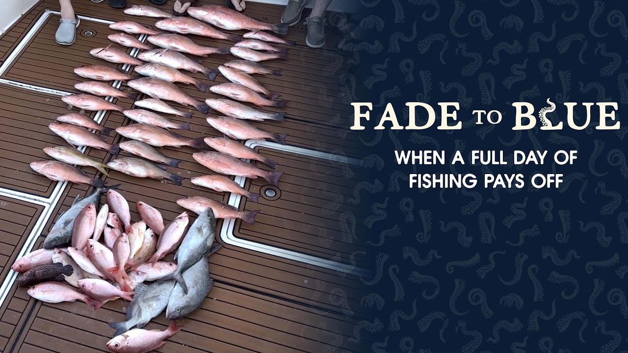 When A Full Day Of Fishing Pays Off - Fade To Blue