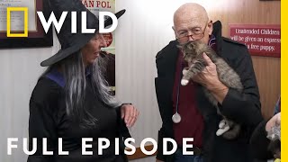 Happy Meowloween: Halloween with Dr. Pol (Full Episode) | The Incredible Dr. Pol