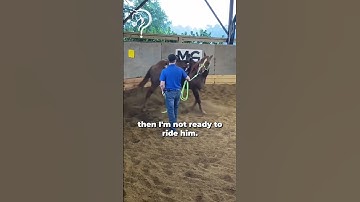 Quick Tips On Gaining Your Horse