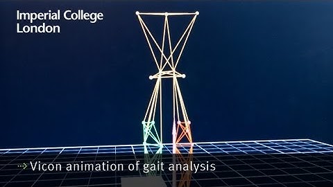 Vicon animation of gait analysis