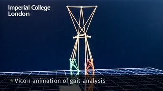 Vicon animation of gait analysis
