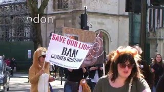 A Global roar against canned hunting