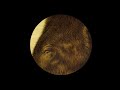 Miniature de la vidéo de la chanson Bike In Head (Elephant Mix)