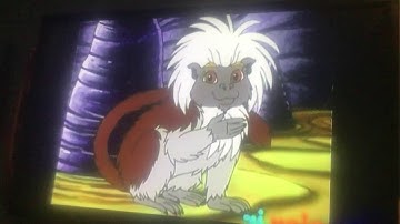 Go Diego Go: I’m A Cotten Top Tamarin I Like To Sing