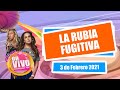 🔴 PAULINA RUBIO se esconde de sus DEUDAS en MIAMI [Show completo] | Chisme en Vivo