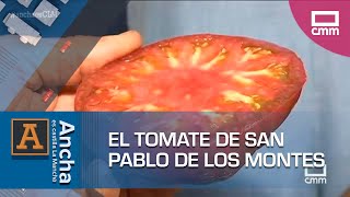 Los secretos del tomate moruno de San Pablo de los Montes | Ancha es Castilla-La Mancha