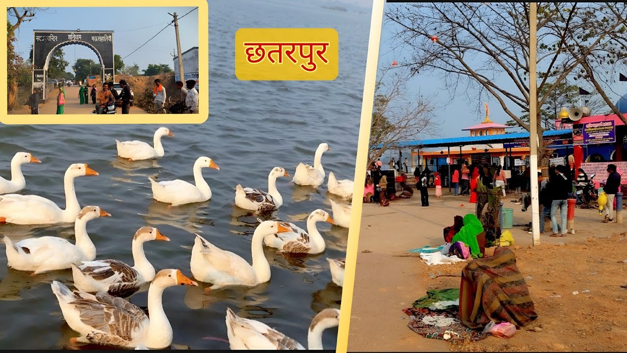 शनि देव मंदिर मऊसहानियां छतरपुर | Sani Dev Mandir Chhatarpur blog ✅