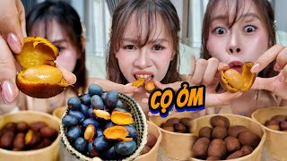 Ăn Thử Cọ Ỏm Phú Thọ Và Cái Kết Chát