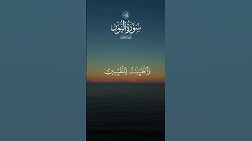والطيبات للطيبين#ماهر_المعيقلي #quran #اكسبلور #قرآن #راحة_نفسية #المنشاوي #video #تلاوة_خاشعة #زواج