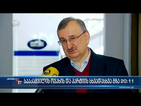სააკაშვილის ოჯახის და პარტიის სხვადასხვა გზა