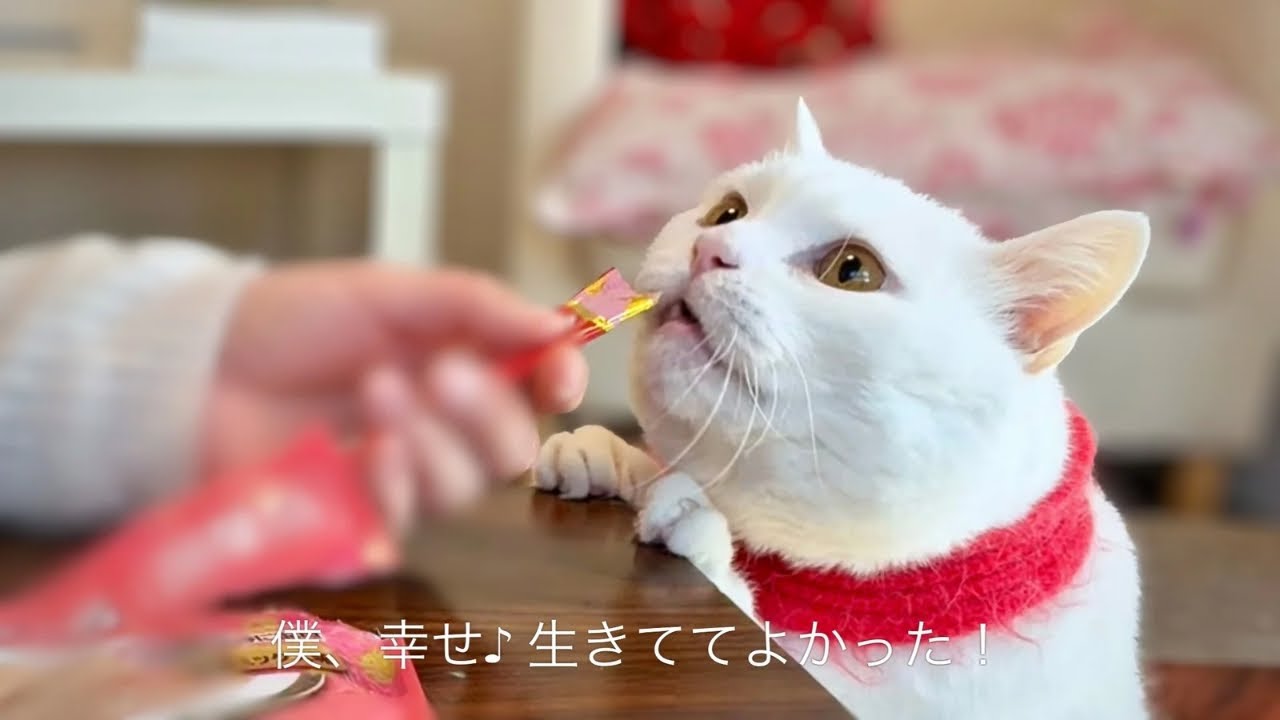 Пять лет с момента почечной недостаточности 4-й стадии: продукты, которые я ем в 14 лет