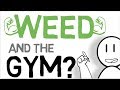 Weed and the Gym: Just The Science