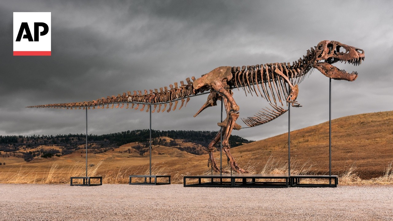 Bidder buys a 67-million-year-old T-Rex fossil for a record $50
