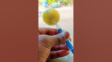 മുളകിൽ Syringe കുത്തിയ കഥ 😂 | #shorts #aadhilreactionzz #malayalam #experiment #m4tech #iamnoel