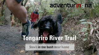 Bird Songs Are Include For Free Out On Tongariro River Trail