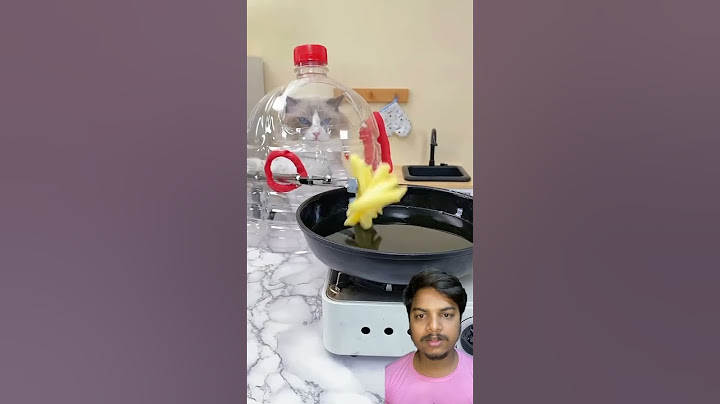 Discover Puff's latest kitchen hack that will blow your mind! #PuffTheChef #thatlittlepuff