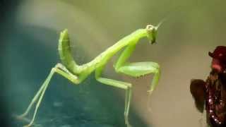 Green Screen Workshop Kids Pop 2014