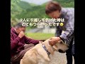 コールと涙のお別れ🥲【大型犬の引越しドキュメント】【ゴールデンレトリバーと楽しく暮らす】