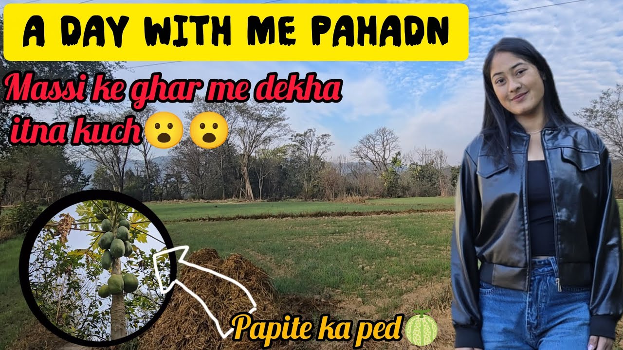चलोआज नई जगह ( हमीरपुर )और नया कल्चर देते हैं..😯🏞️//Day 15 //Life with me phadan // full vlog //