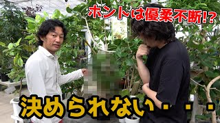 【カーメン君教えて！】じゅんぺい君が新しい観葉植物を買おうとしたらいいのがありすぎて選べない