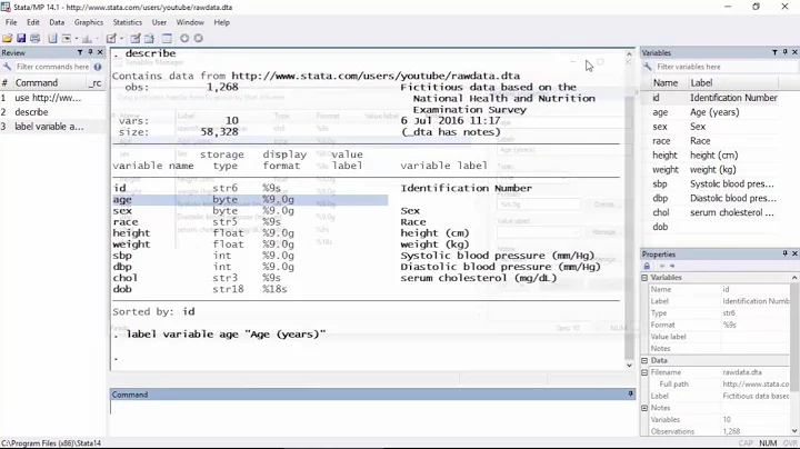 Data management: How to label variables