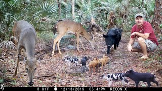 Browning Recon Force Extreme Trail Camera Pickup