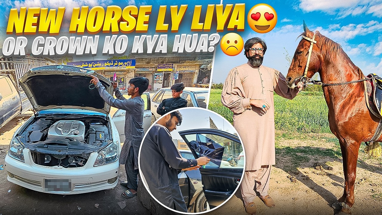 NEW HORSE LY LIYA😍 |  CROWN KO KYA HUA..?☹ | Faisal Lali Vlogs