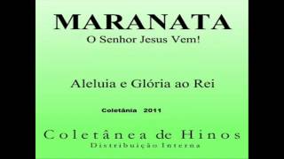 Video thumbnail of "Os céus declaram a Glória de Deus - 3000 vozes - Maranata ICM"