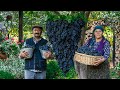 Discover how the real grape syrup preparation in azerbaijan