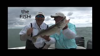 Angling The Great Lakes: Perch on Lake Michigan