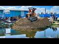 Video Start New Action Working Equipment Truck First Dumping Dirt on Construction Pushing By Dozer