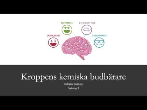 Video: Skillnaden Mellan Serotonin Och Endorfiner