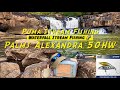 Palms Alexandra 50HW | Waterfall Stream Fishing 🌈
