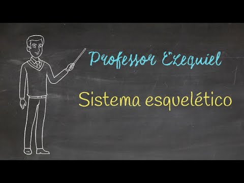 SISTEMA ESQUELÉTICO