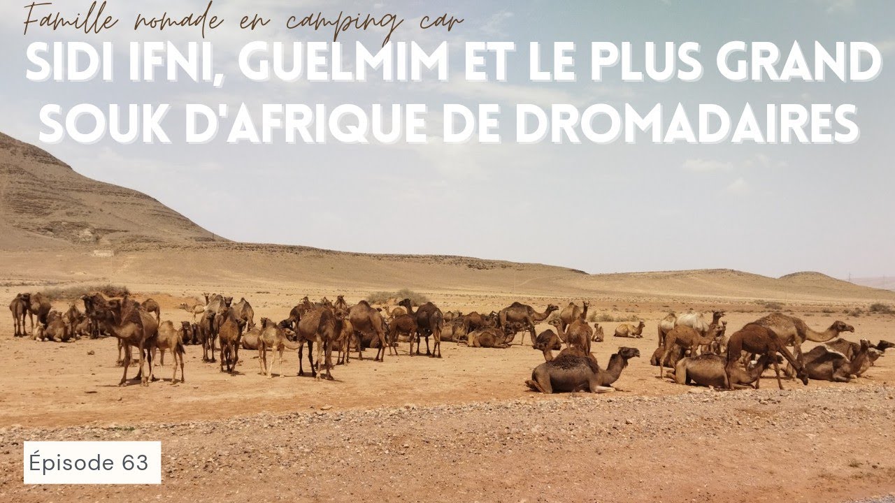 63. SIDI IFNI ET GUELMIM, AU SUD DU MAROC ET LE PLUS GRAND MARCHÉ DE DROMADAIRES D'AFRIQUE