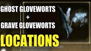 How to upgrade SPIRIT ASHES! Elden Ring GHOST GLOVEWORTS + GRAVE GLOVEWORTS locations