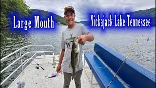 Pontoon Day Fun (Hales Bar Marina) Nickajack Lake, Tennessee River area. We In Tennessee Lake Fun