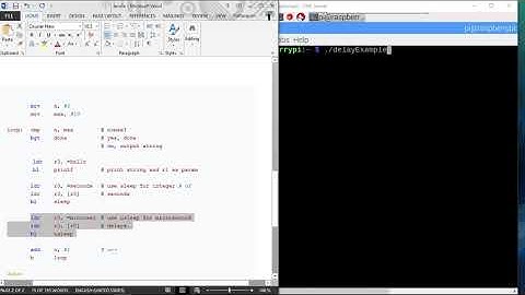 Pausing the Program using the sleep()/usleep()  C Functions ECP3N