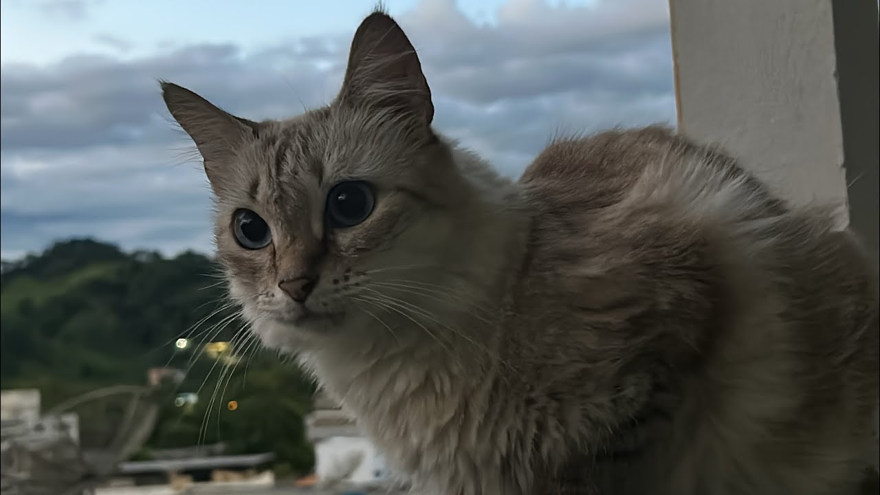 O tédio da rotina…