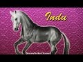 BreyerFest 2017 Special Run: Indu