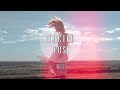 Alex Cruz - Follow The Sun (ft. Xavier Rudd)