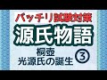 【定期テスト対策】「桐壺」「光源氏の誕生」その３（『源氏物語』より）　～いよいよ光源氏の誕生！帝の溺愛っぷりったら！～試験範囲が同じ人に拡散希望☆