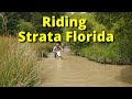 Riding strata florida