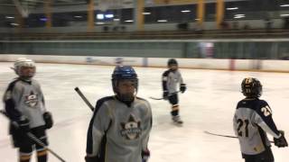 Pasadena Maple Leafs vs Ontario Eagles. ADM Mites Track 1 (02-15-2016)